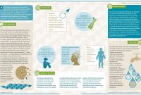 Clinical Evaluation Report Sample and Huntington Disease
