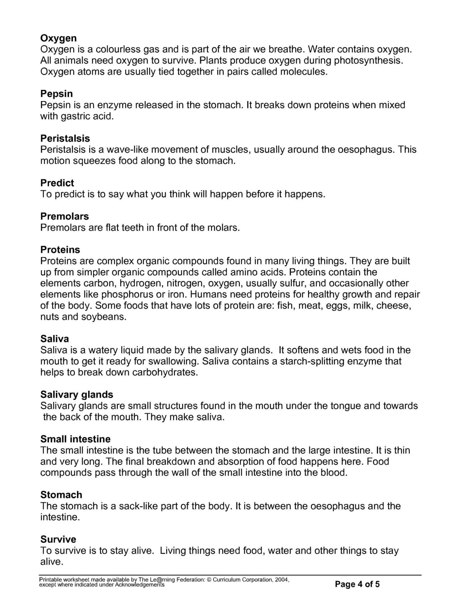 33 Inspirational Enzymes Help Us Digest Food Worksheet Answers