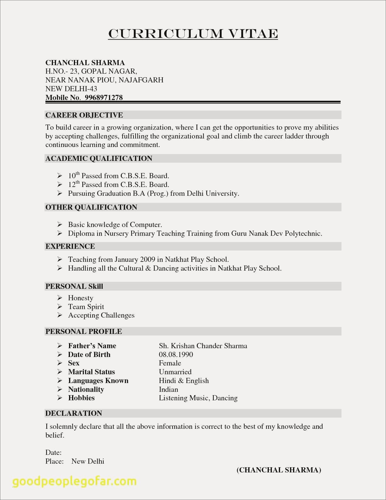 Cv Resume Example Doc Valid Resume Template Doc New Resume Doc 0d
