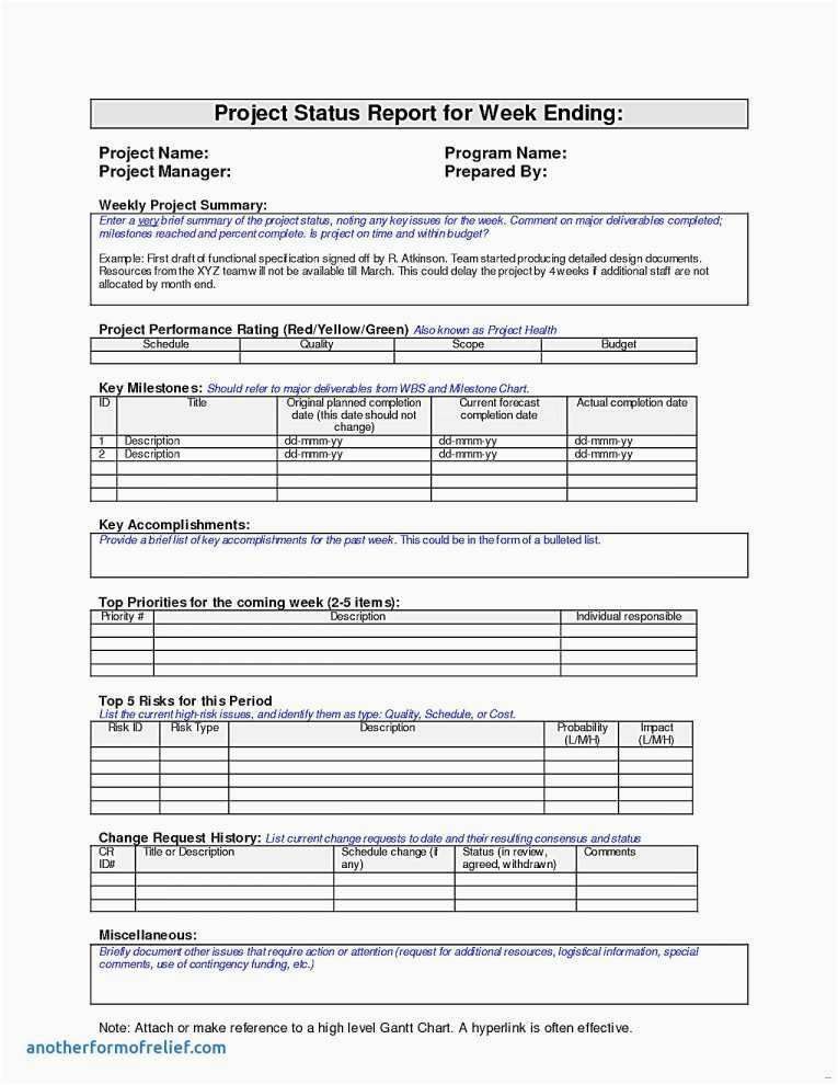 Check Templates Simple Project Status Reporting Template Beautiful Status Report Template Sample